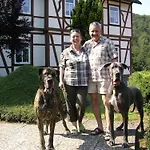 Appartement Der Falkenhorst By Interhome *