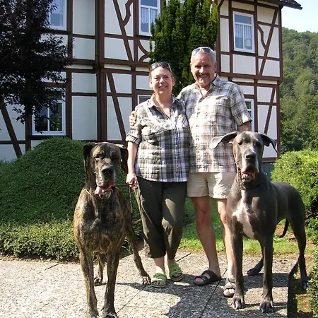 Lejlighed Der Falkenhorst By Interhome *